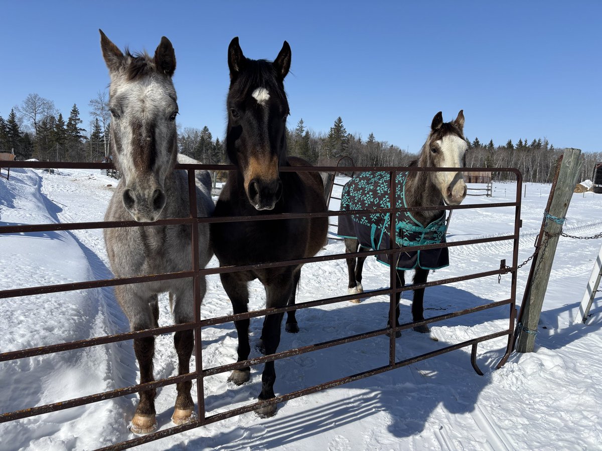 greenleaf777 𖡼𖤣𖥧𖡼𓋼𖤣𖥧𓋼𓍊 tweet media