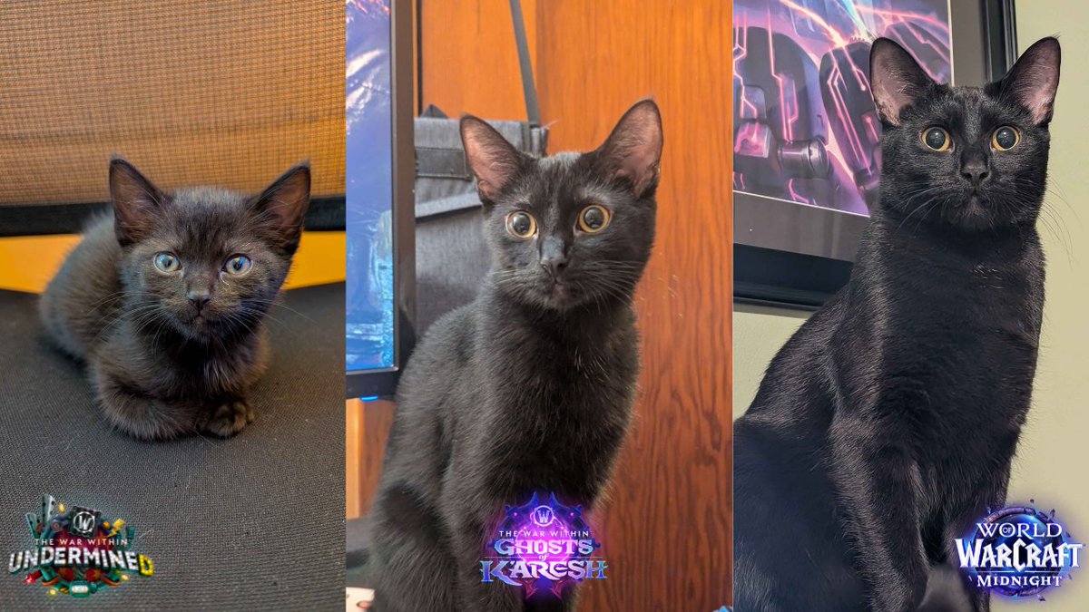 Faevyn 🩵 tweet media