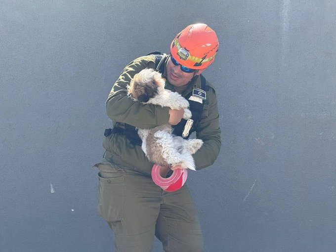 Vivid.🇮🇱 tweet media