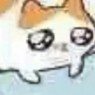 𑣲swannoierQSMP tweet media