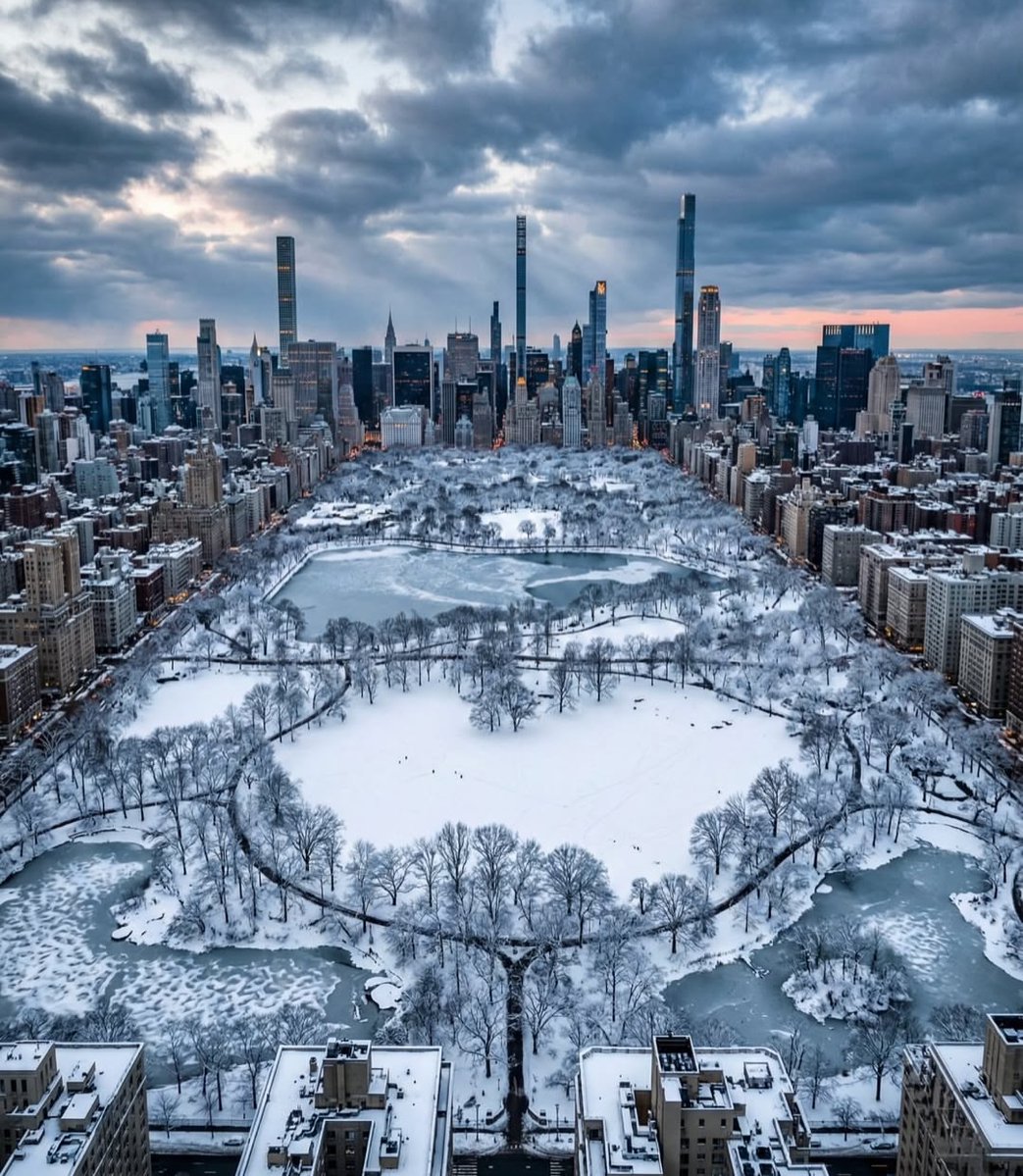 City Lights tweet media