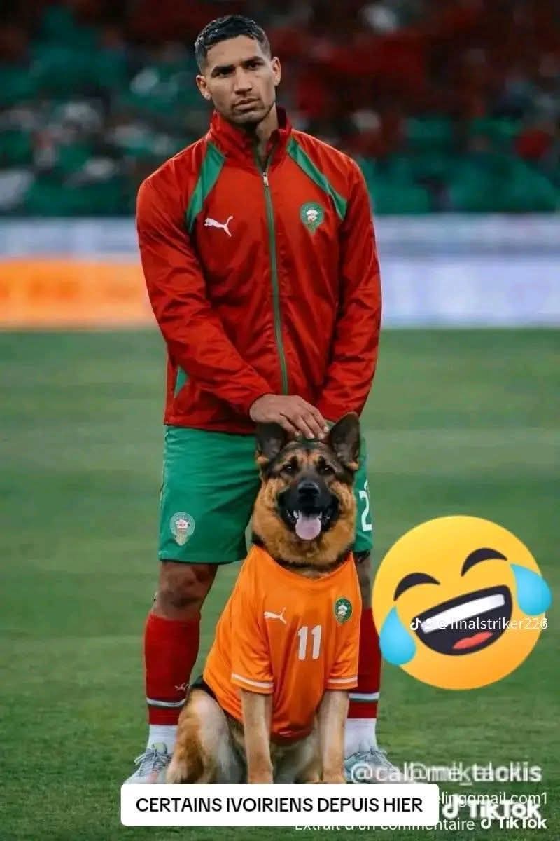 Junior Mintou Faye tweet media