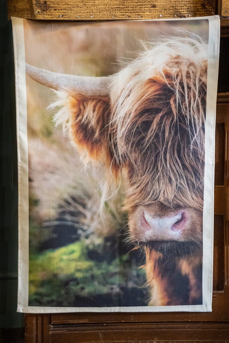 peaklass tweet media