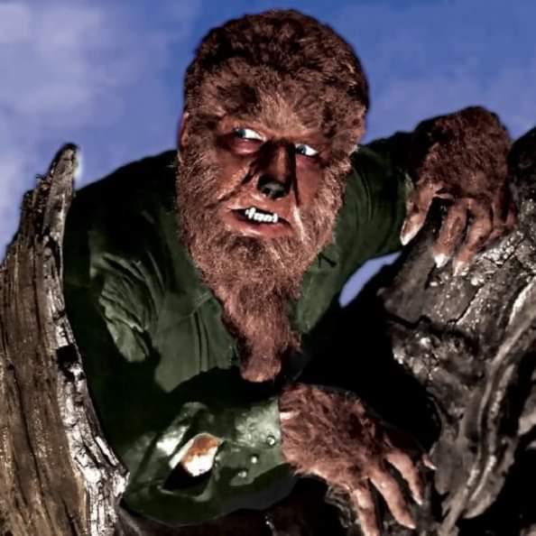 Universal HIGH 🌎 tweet media