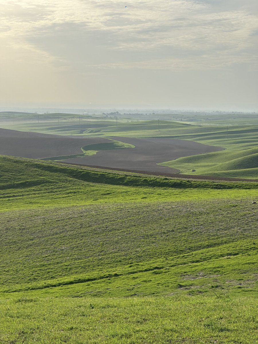 raixonai tweet media