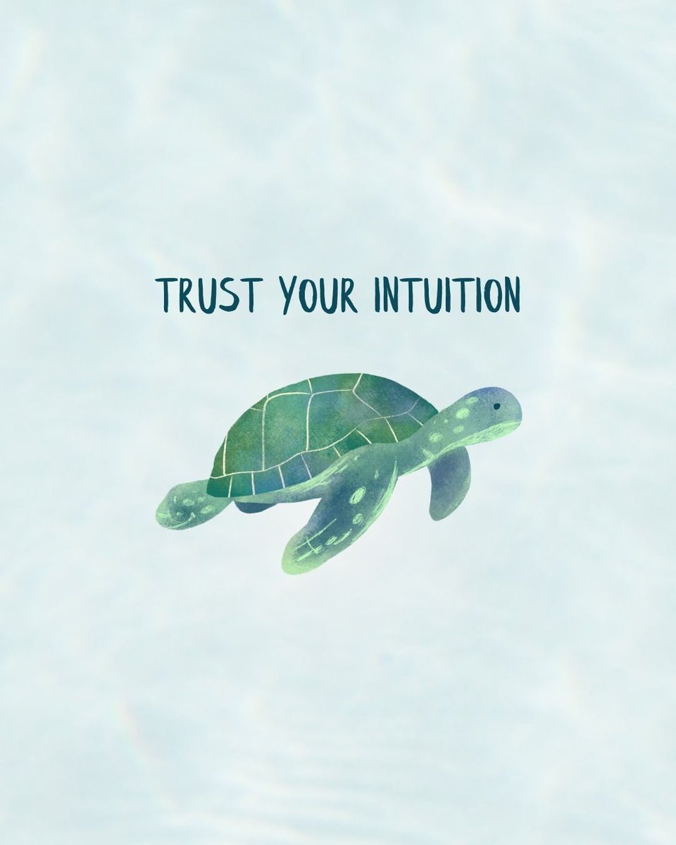 JohnStrelecky's tweet photo. Always trust your intuition! 🐢✨

#trustyourintuition #followyourheart #johnstrelecky 
#insipration #bigfiveforlife https://t.co/l6UIco4a9V