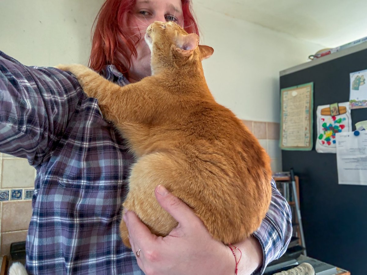 𝕆𝕝𝕚𝕧𝕚𝕒 🏳️⚧️ tweet media