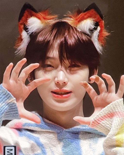 nekko 🌷 | ENHYPEN IS 7!! tweet media