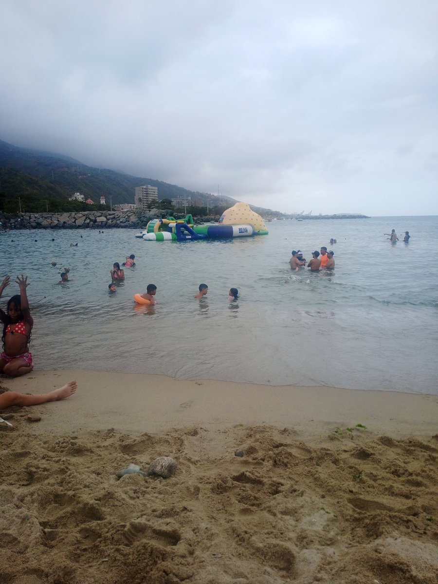 @pedro0910 tweet media