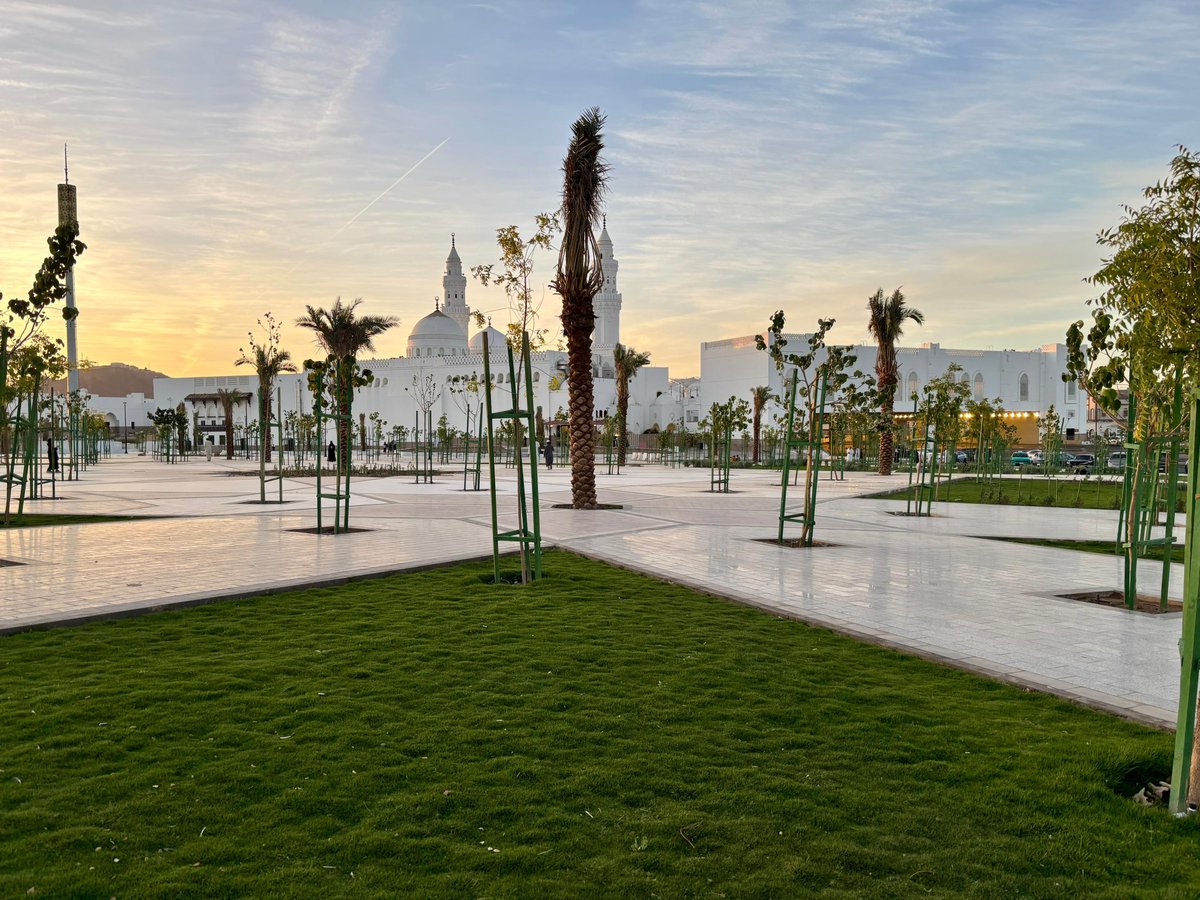 مشاريع المدينة المنورة tweet media