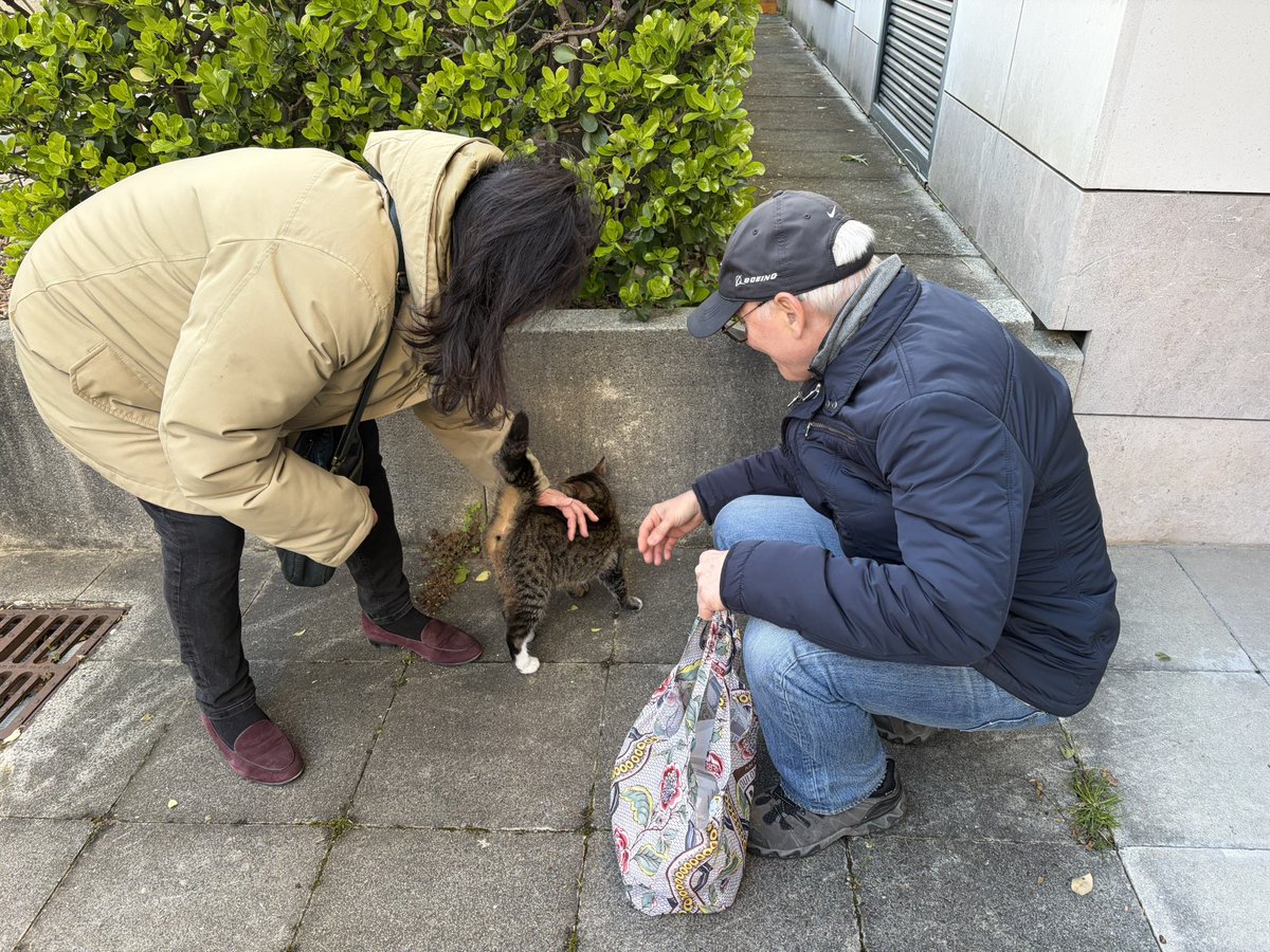 Association chats du bois de Vincennes et alentour tweet media