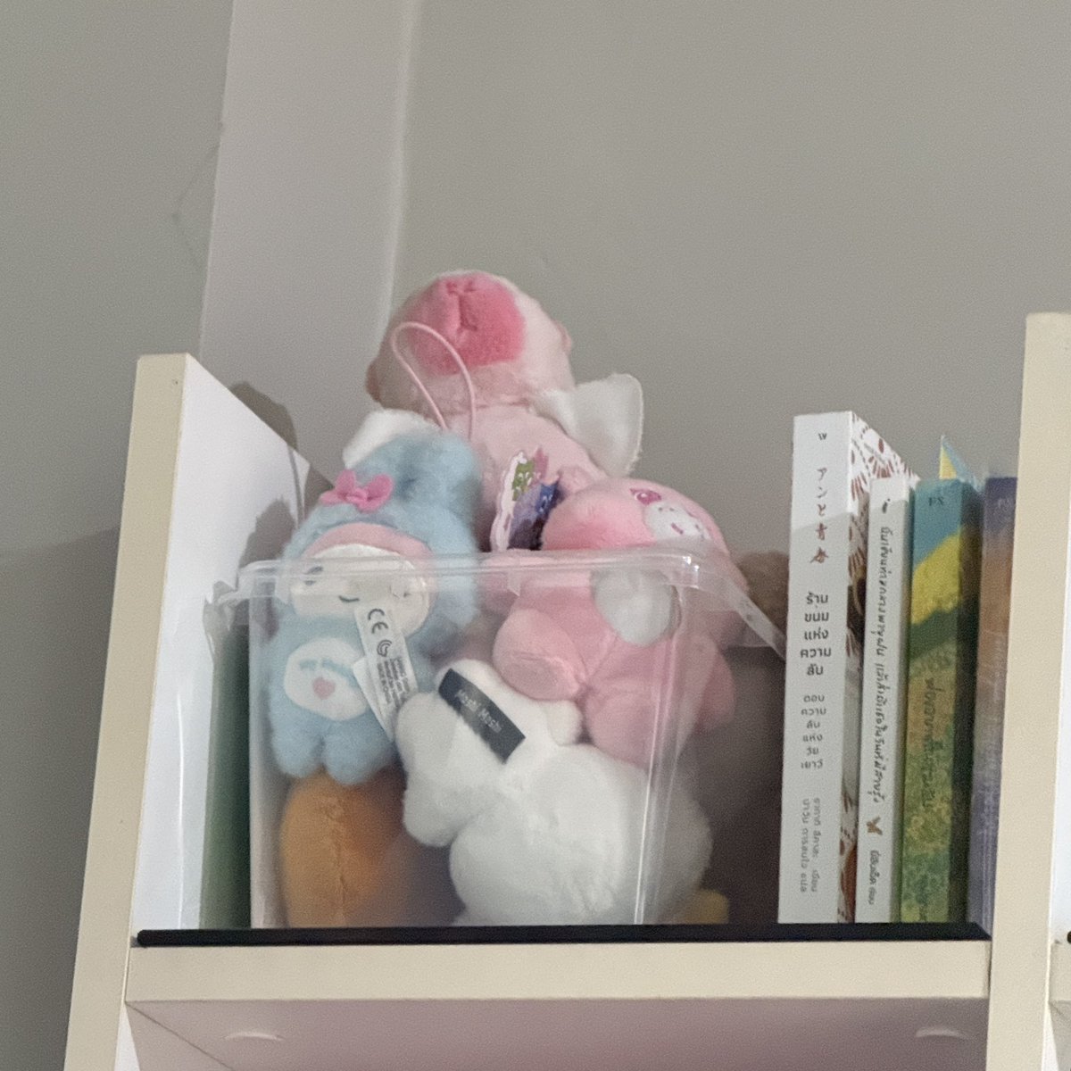 ˚ʚ มิมูม้าว ɞ˚ tweet media