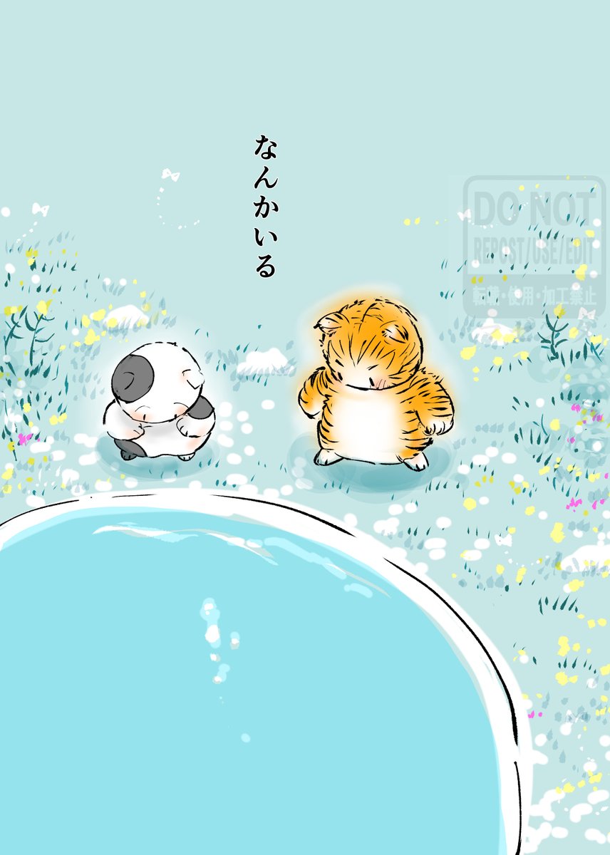 マゼンダ tweet media