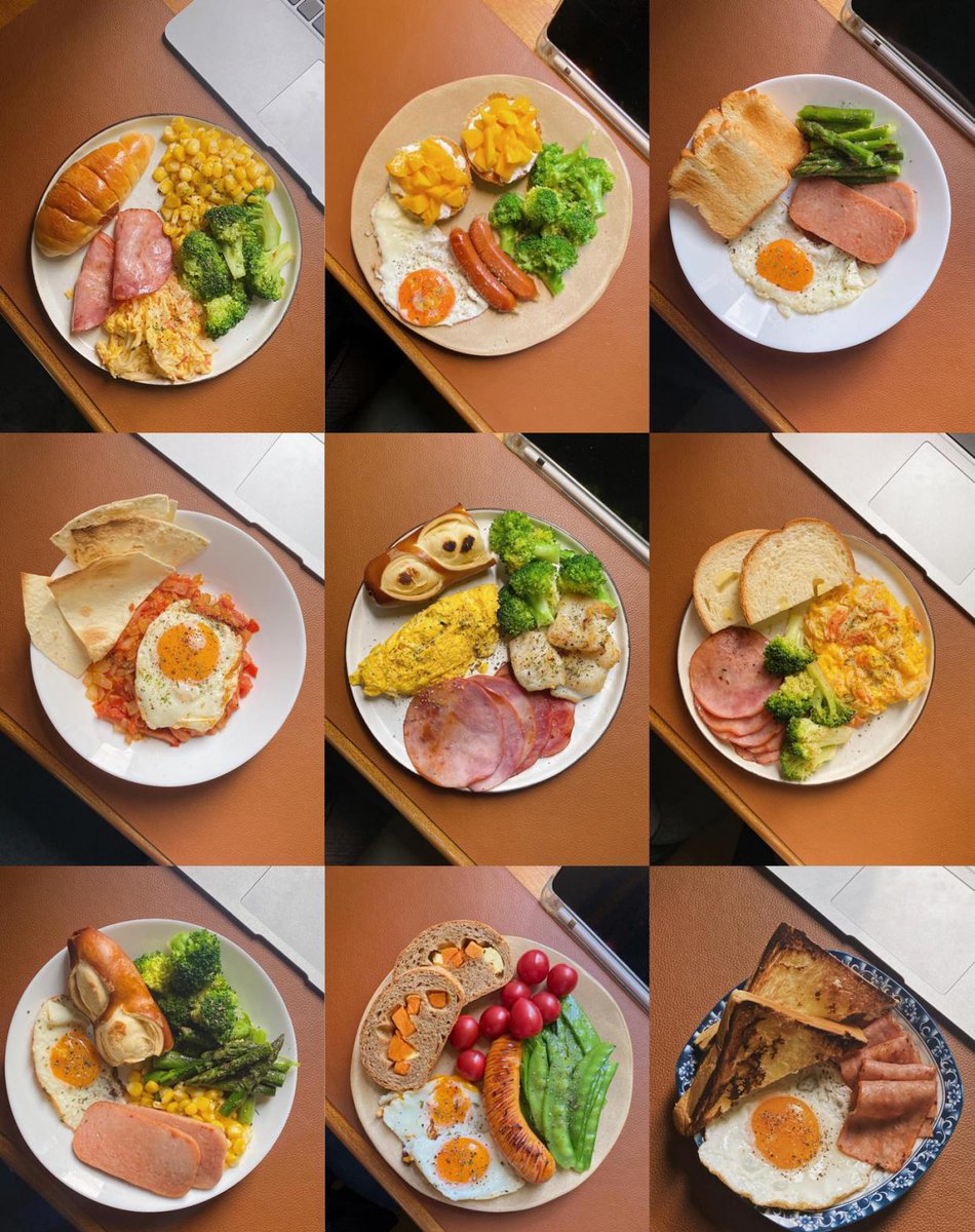 Vagabundo sem Dama tweet media