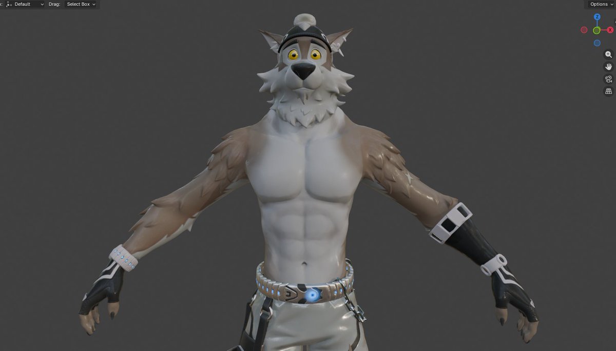 FennixPits tweet media