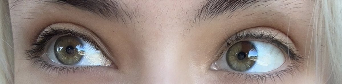 kryptyda tweet media