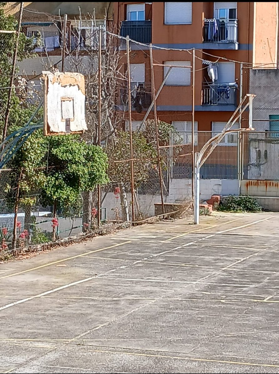 Juguem a bàsquet! tweet media