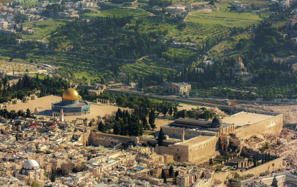 Mahmoud Farhat محمود فرحات tweet media