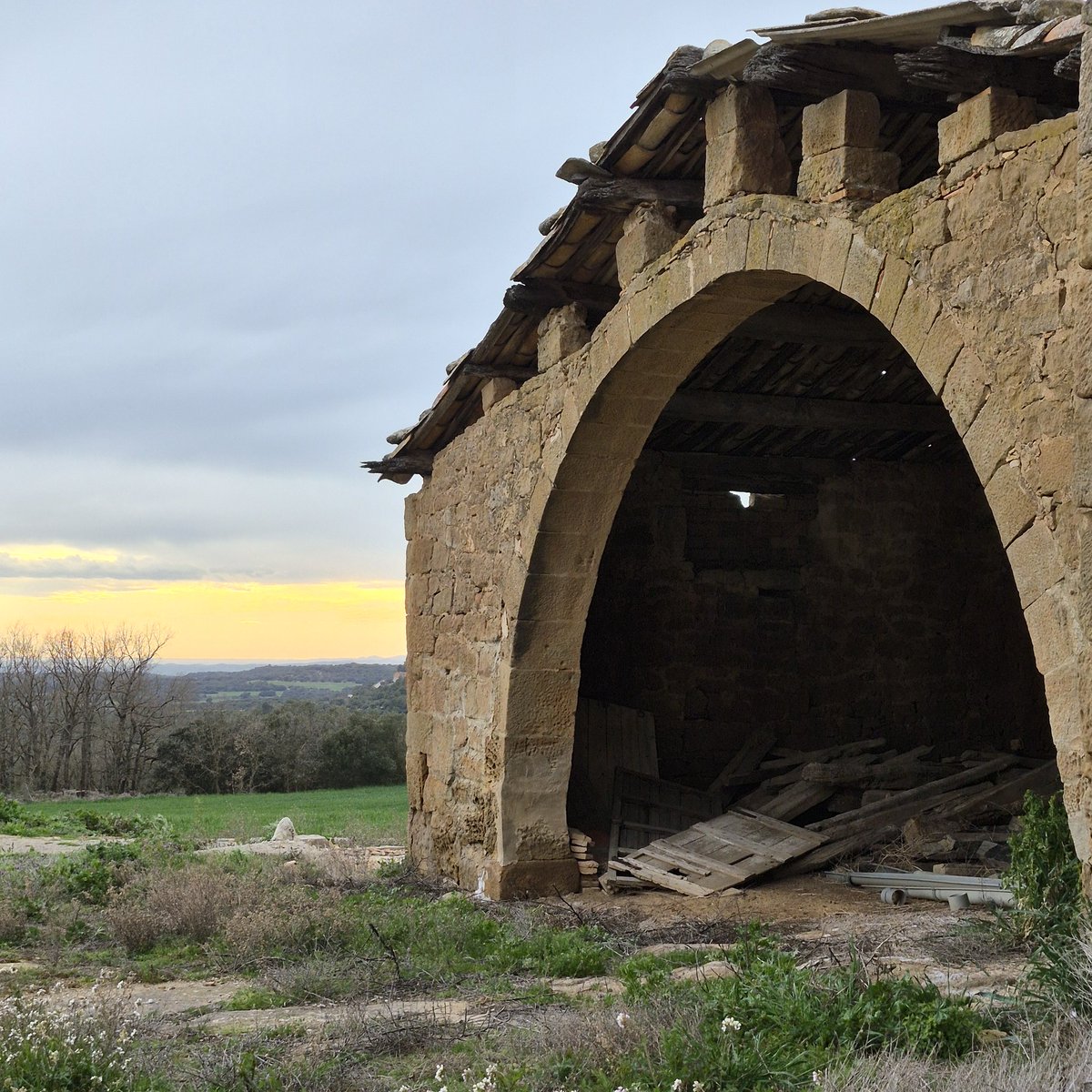 La Caçadora de Masies tweet media