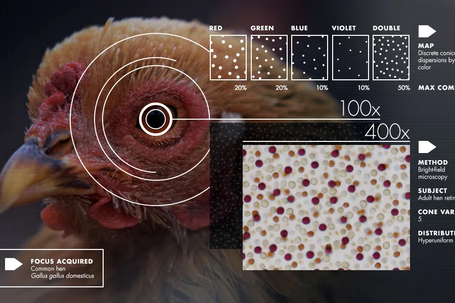 All day Astronomy tweet media