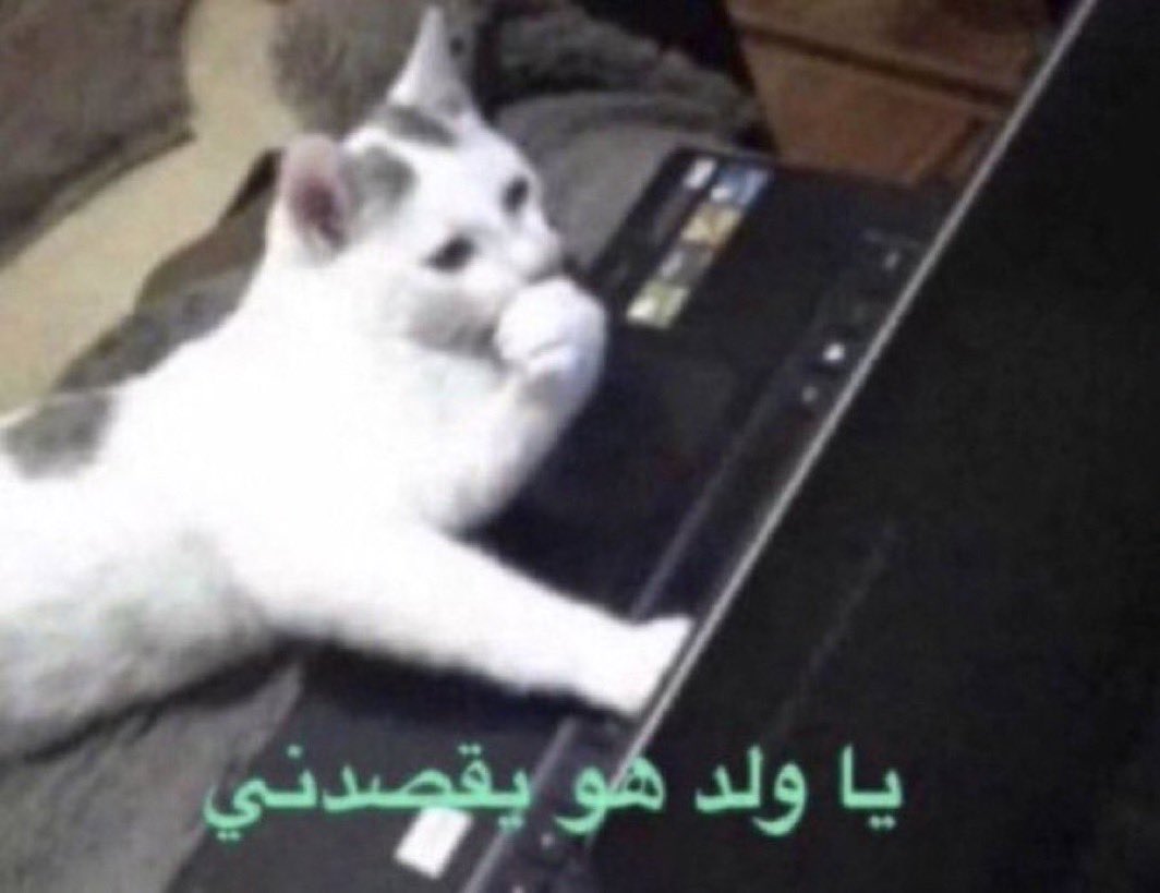 💻 عبدالله السبيعي | V7dt 💼 tweet media