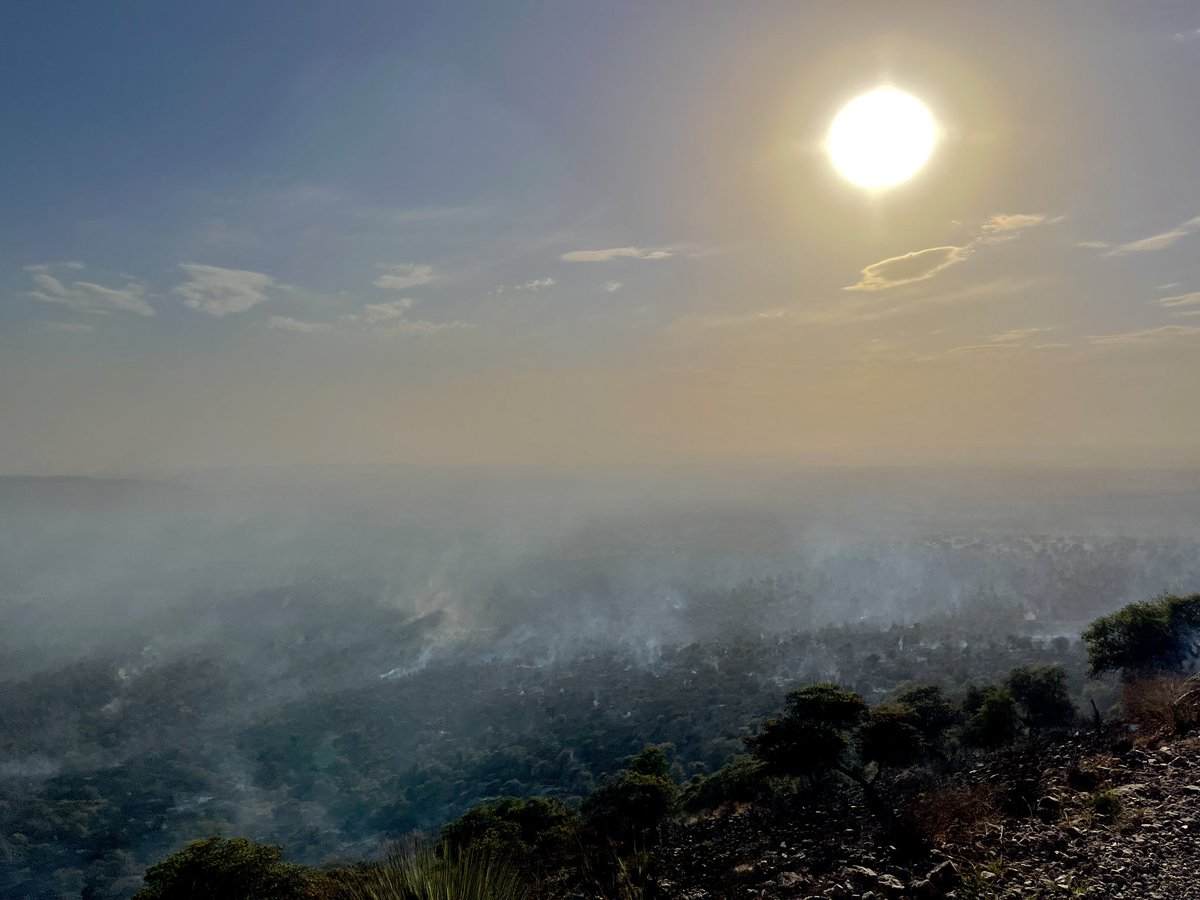 Clark Gable tweet media