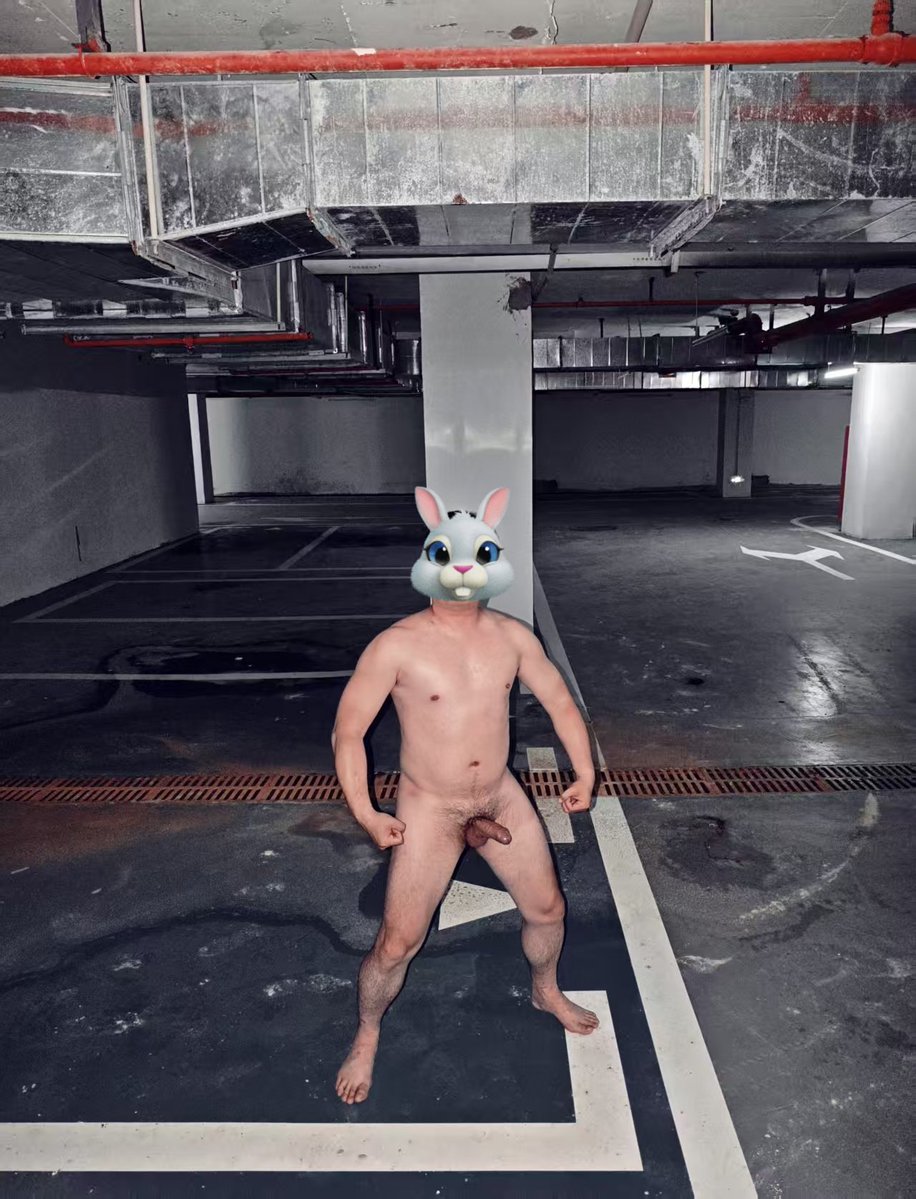 朝云引 tweet media