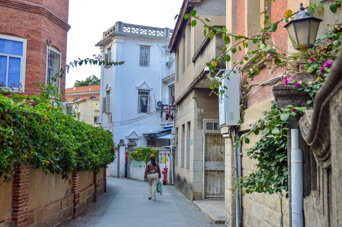 Melissa & Chris Bruntlett tweet media