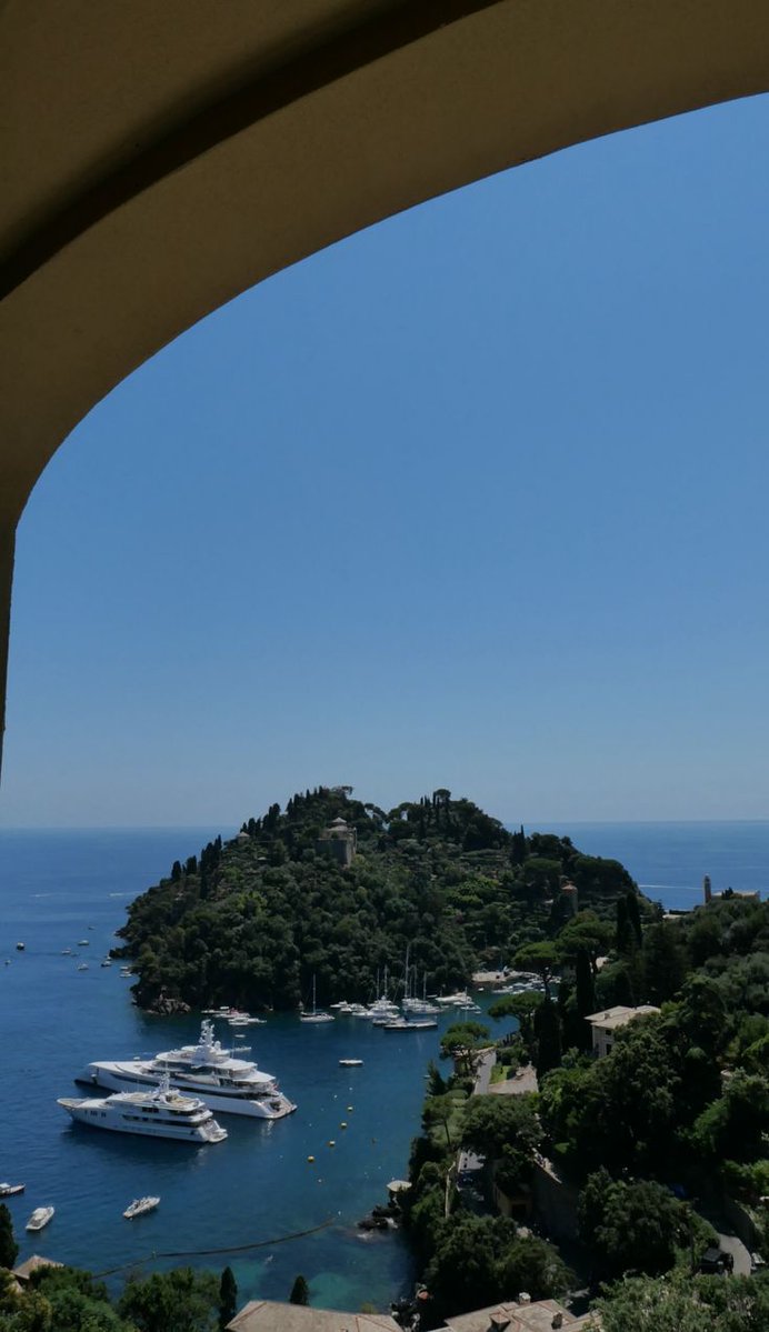 Ivan ⚜️ tweet media