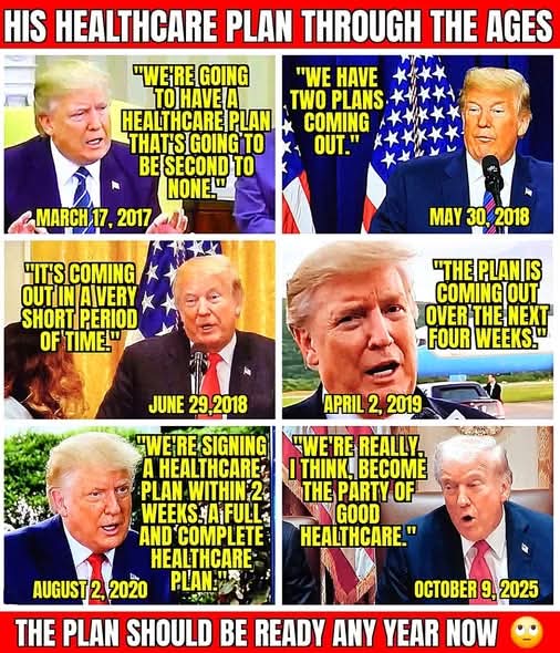 EmBeesWeb tweet media