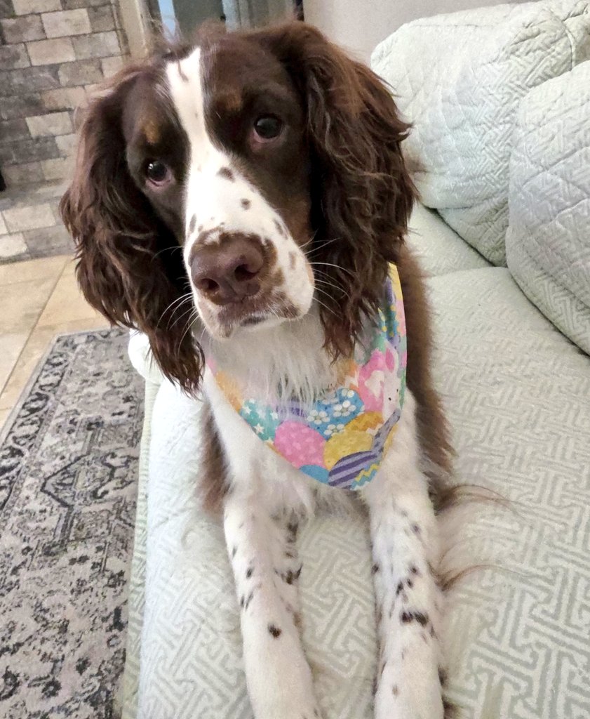 Krisla🌺 tweet media