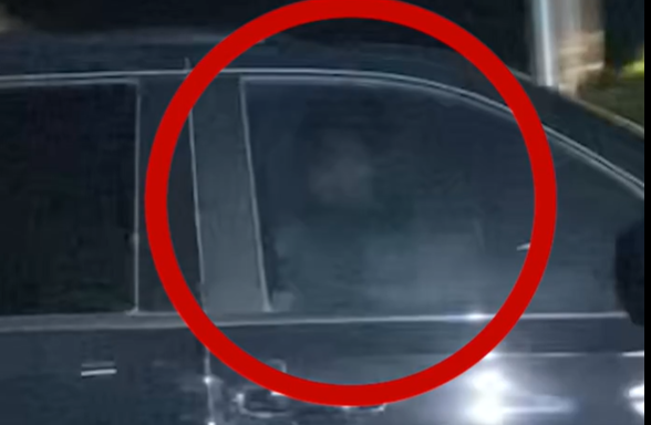 Cyber Egg tweet media