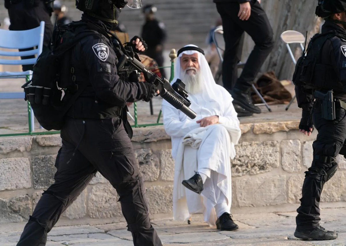 زينة 𓂆 tweet media