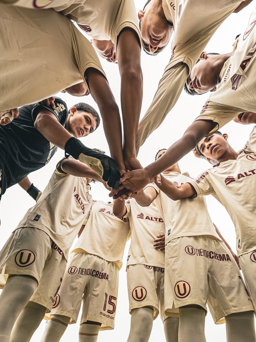 Divisiones Menores - Universitario tweet media