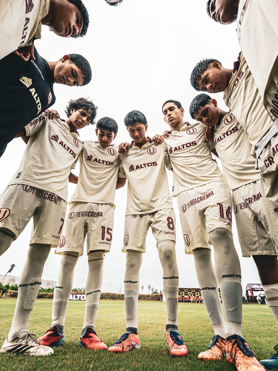 Divisiones Menores - Universitario tweet media