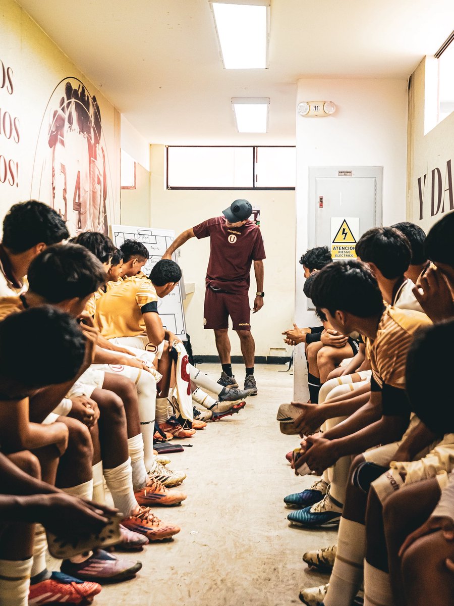 Divisiones Menores - Universitario tweet media