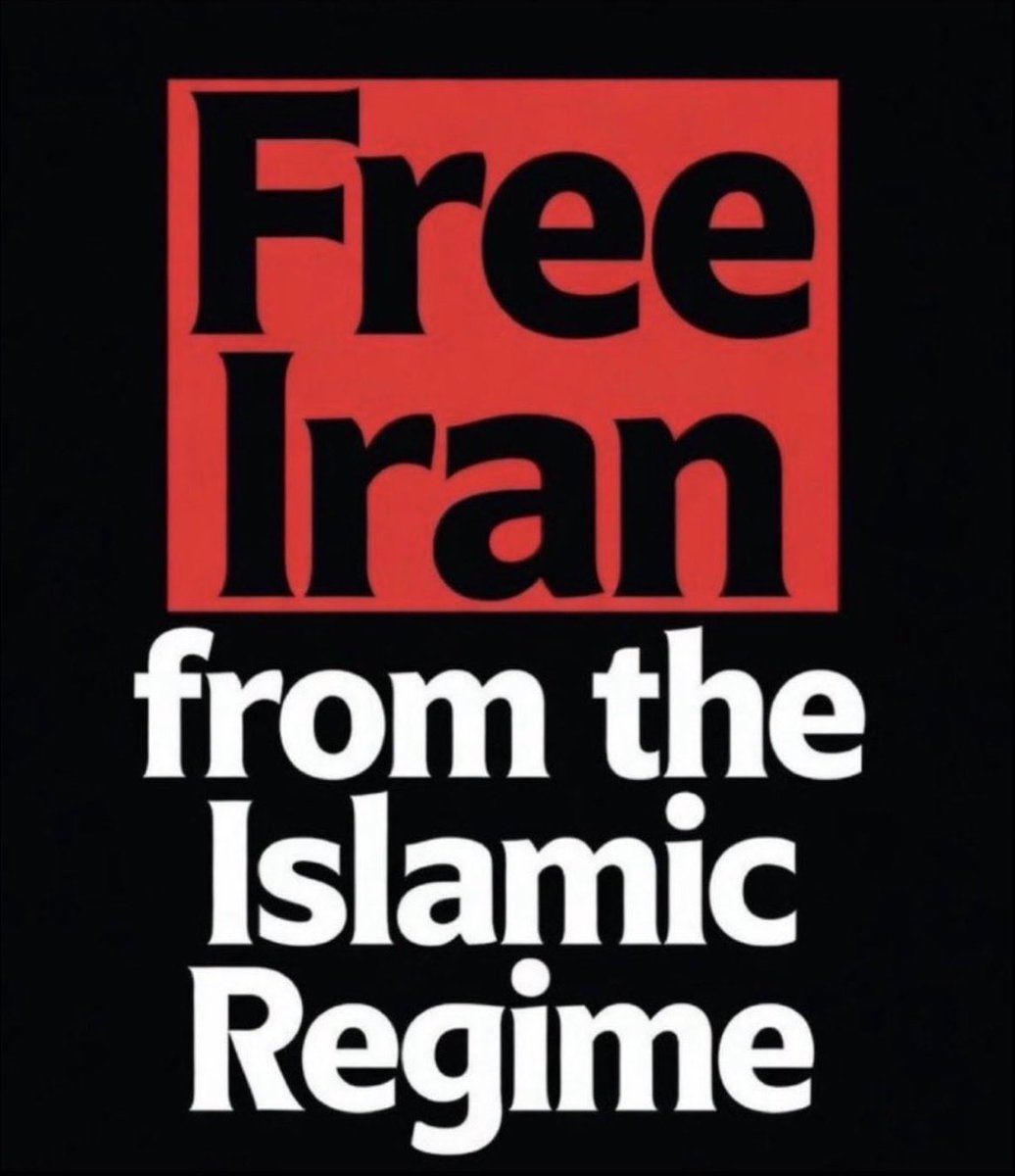 BigNorm_100 tweet media