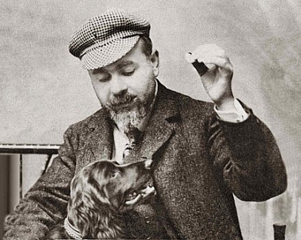 Dilo con perritos tweet media