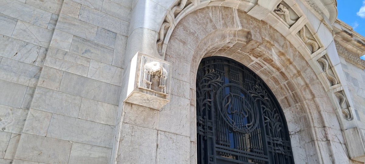 Dilo con perritos tweet media