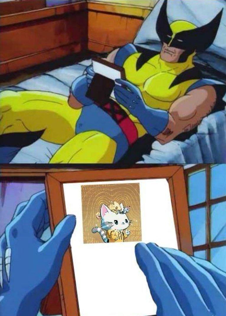 Vivid.hl (equity perps era) tweet media