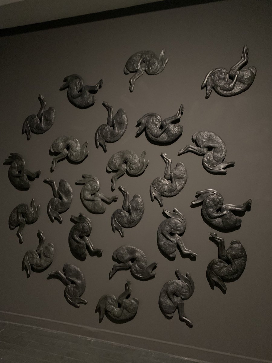 Javier Alonso tweet media