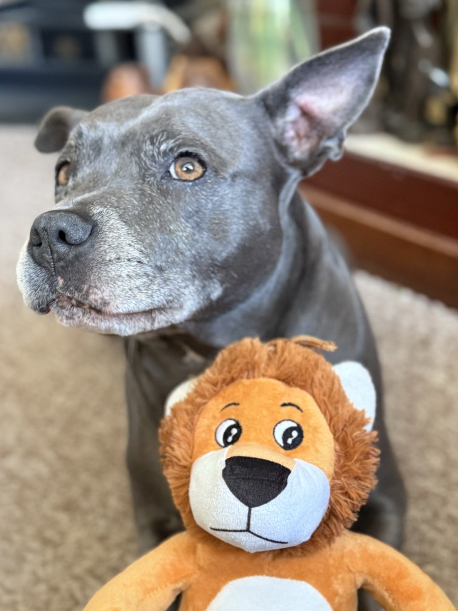 Isa Mary tweet media