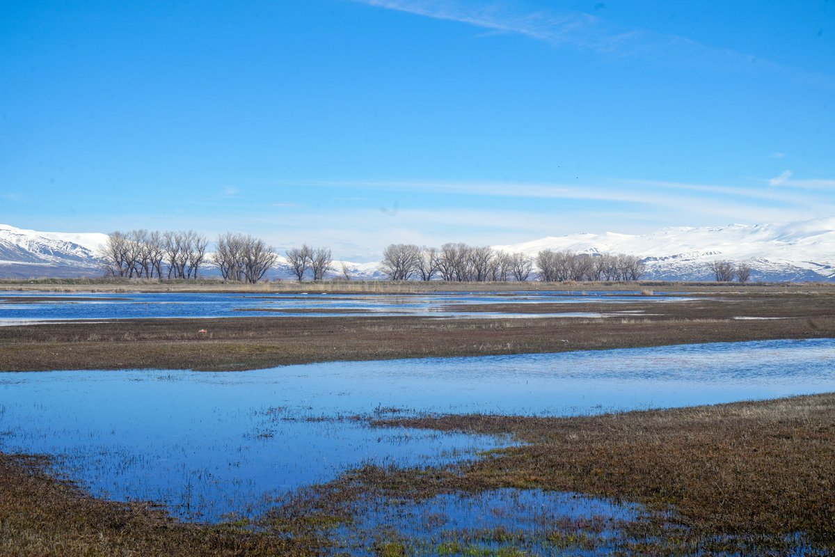 Nihat Kılıçoğulları tweet media