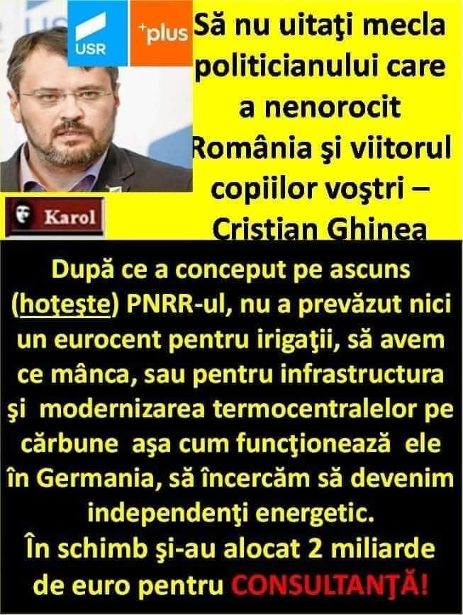 Sandu Negrea tweet media