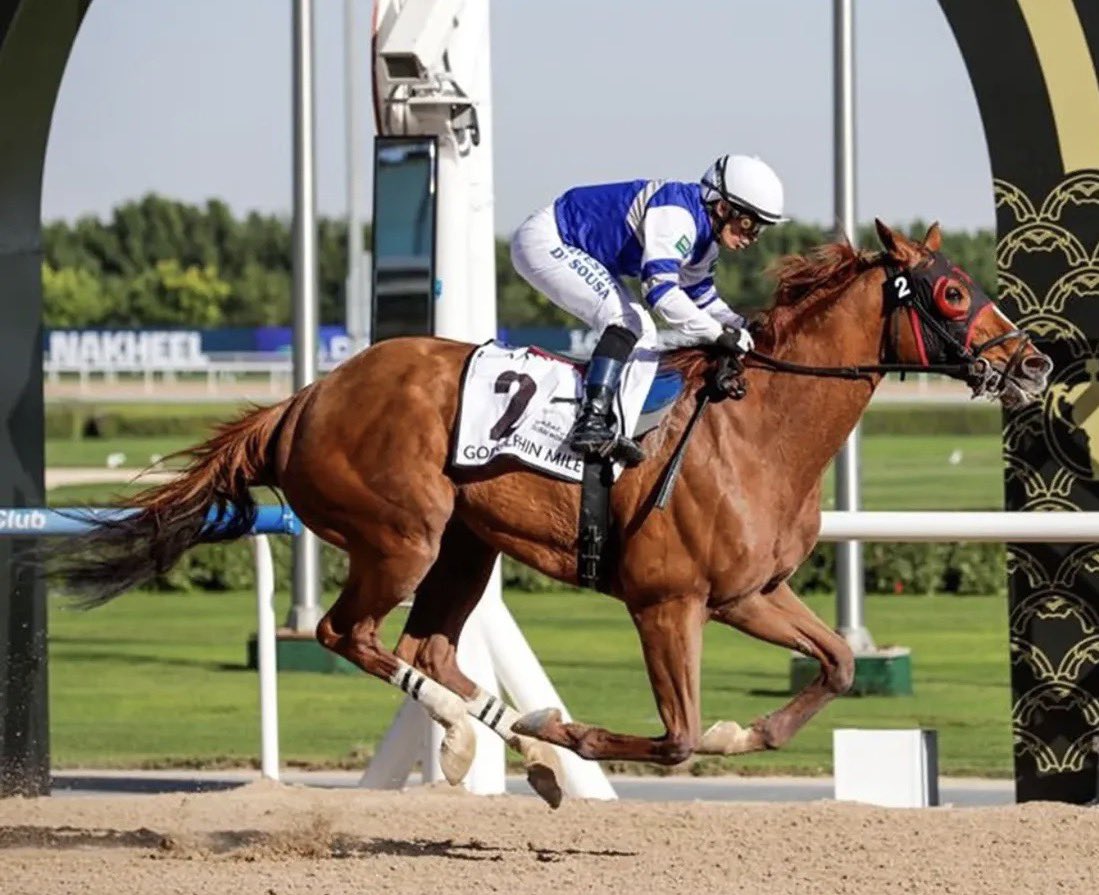 Stakes Winners 🏆 tweet media