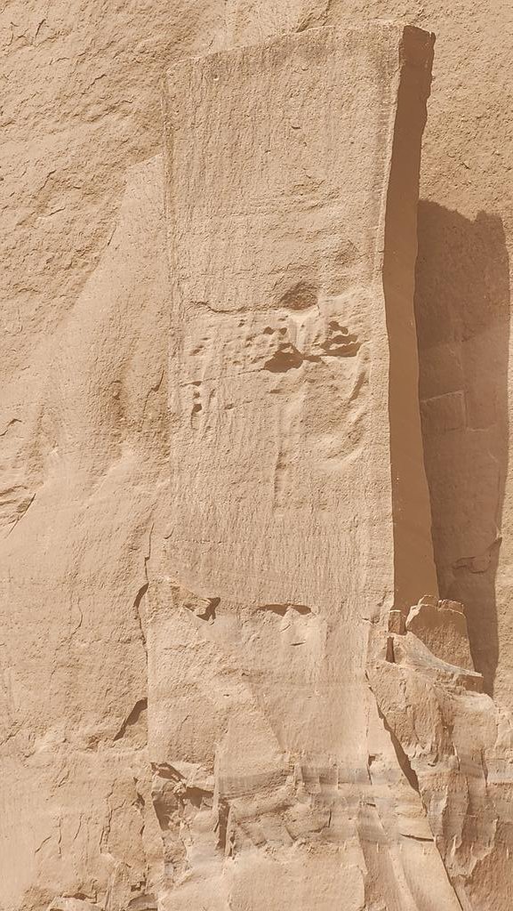 anazimohs tweet media