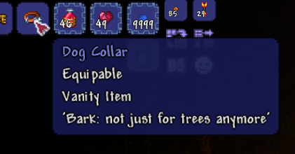 Cotinator Cat tweet media