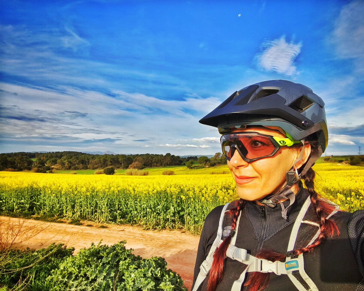 La venus de las pieles tweet media