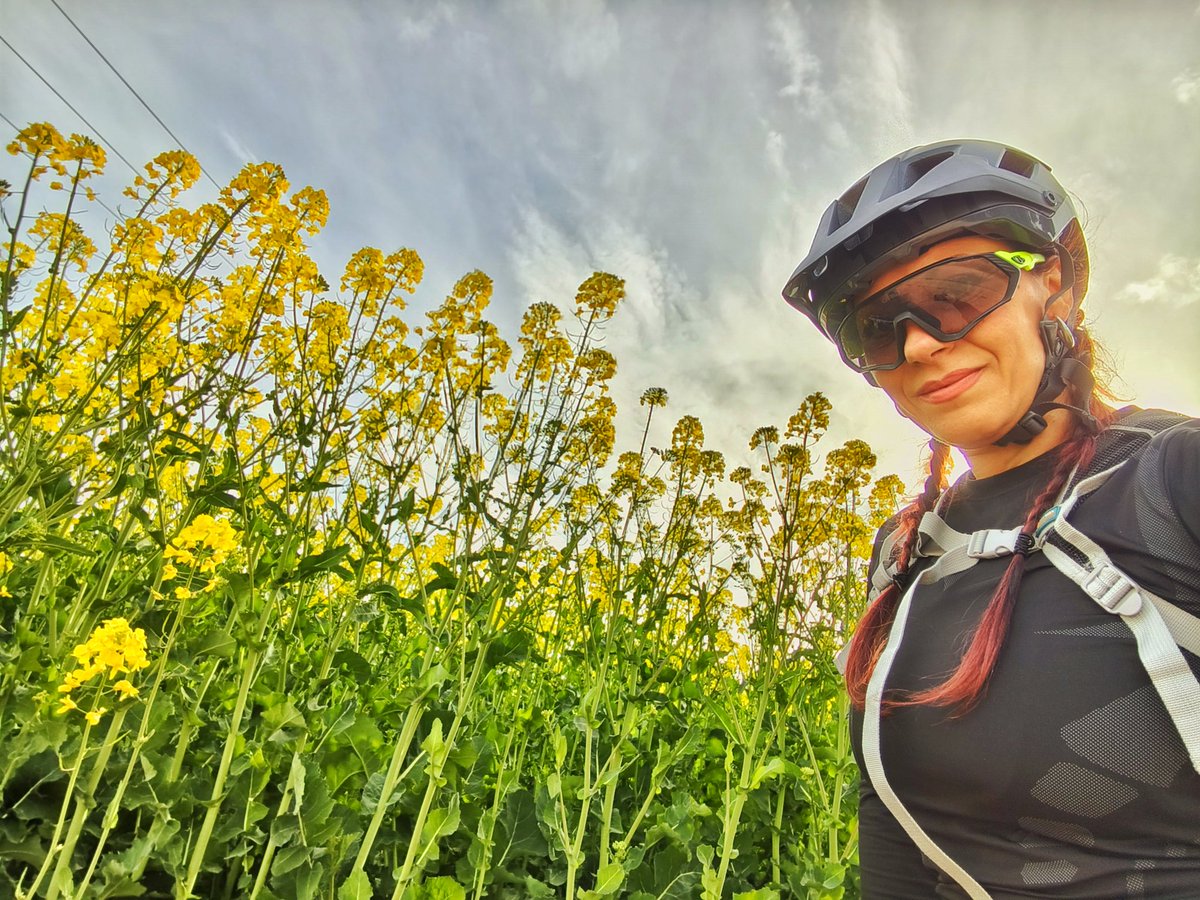 La venus de las pieles tweet media