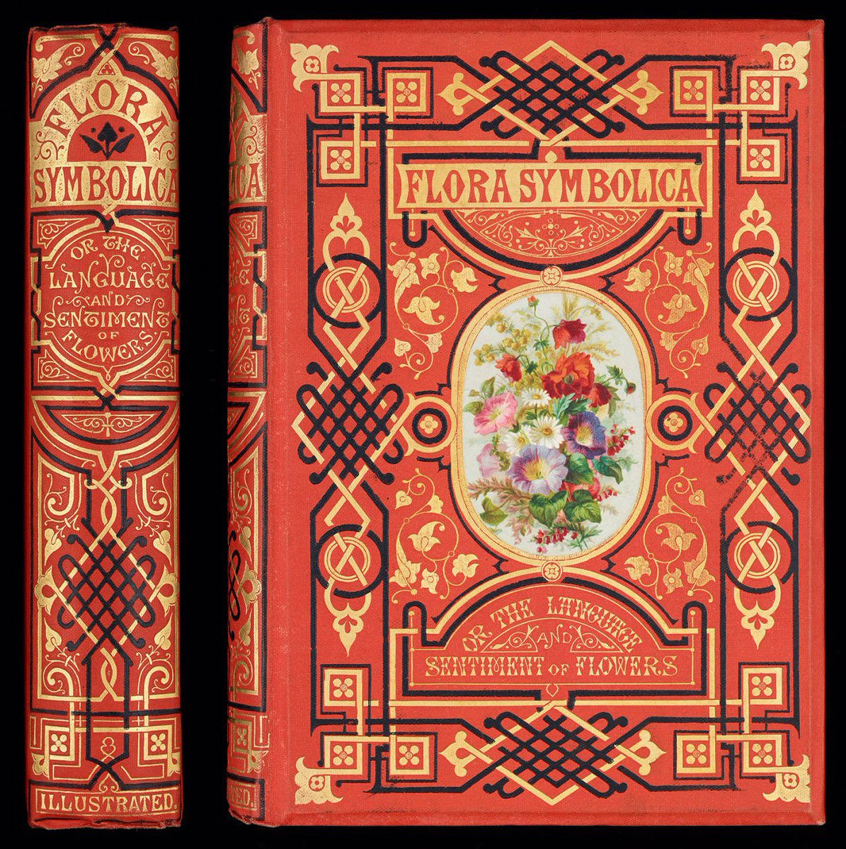 𝐒𝐭𝐞𝐚𝐦𝐩𝐮𝐧𝐤 𝐓𝐞𝐧𝐝𝐞𝐧𝐜𝐢𝐞𝐬 tweet media